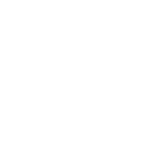 Ridley Solutions Logo